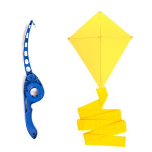 Blue and Yellow CastaKite